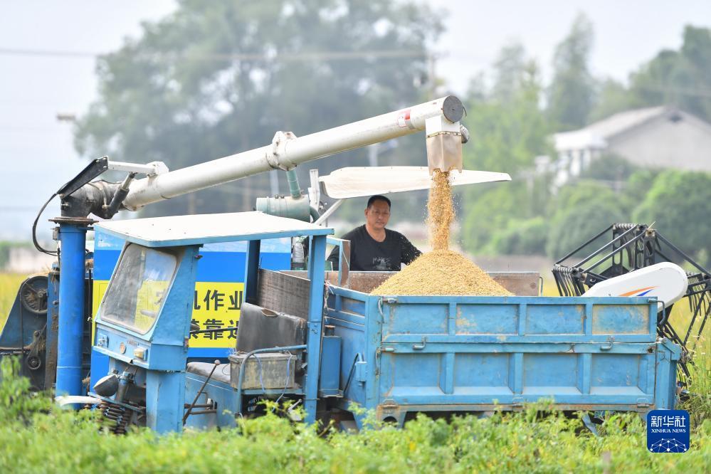 斗牛游戏大厅